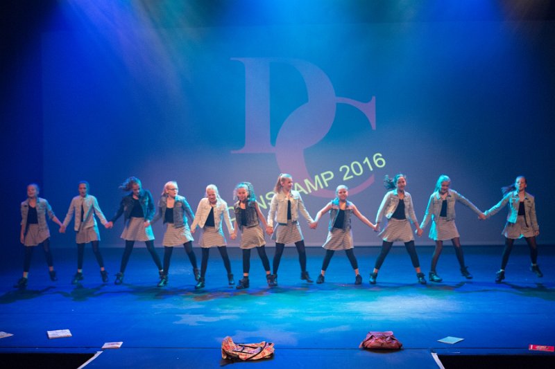 DCD E 133.jpg
